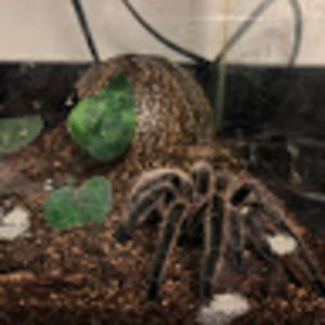 Meet your Posher, Talking about